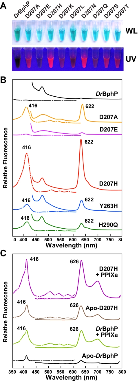 Figure 9.