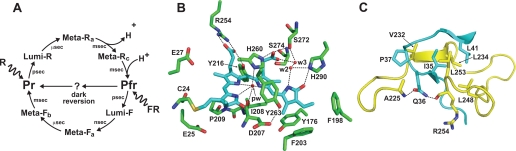 FIGURE 1.