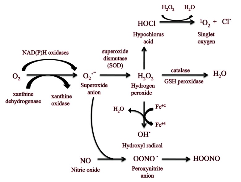 Fig. (3)