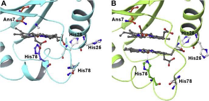 Figure 2