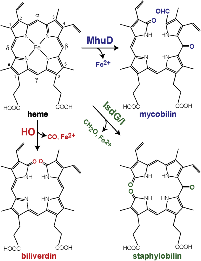 Figure 1