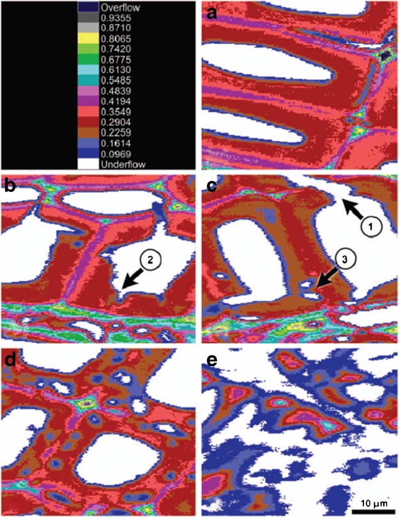 Fig. 4