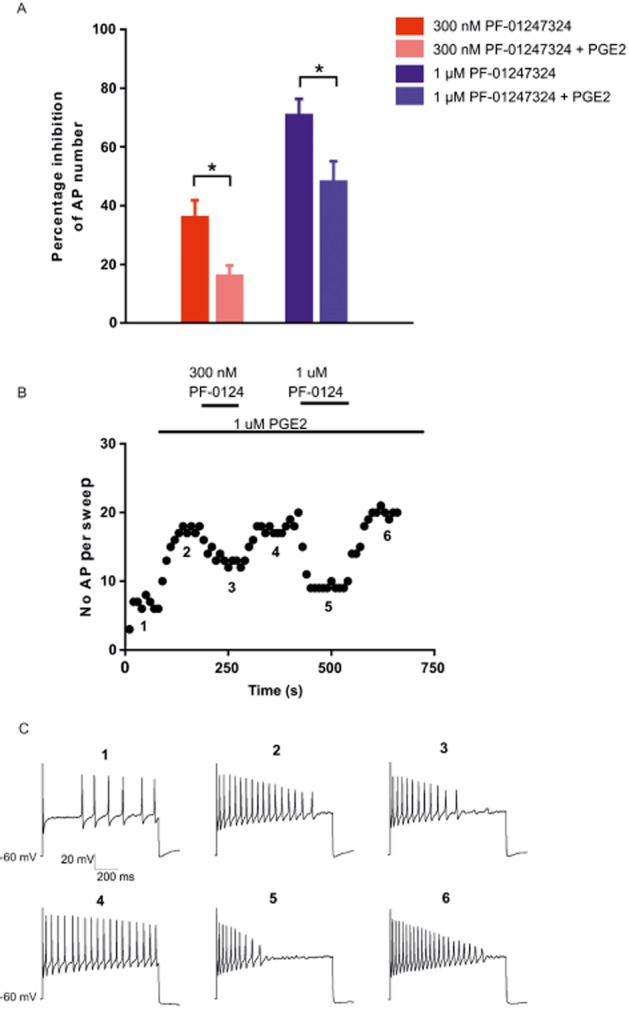 Figure 6