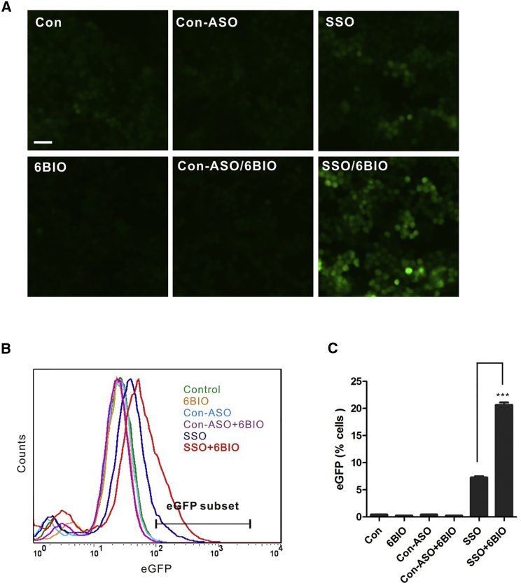 Figure 3