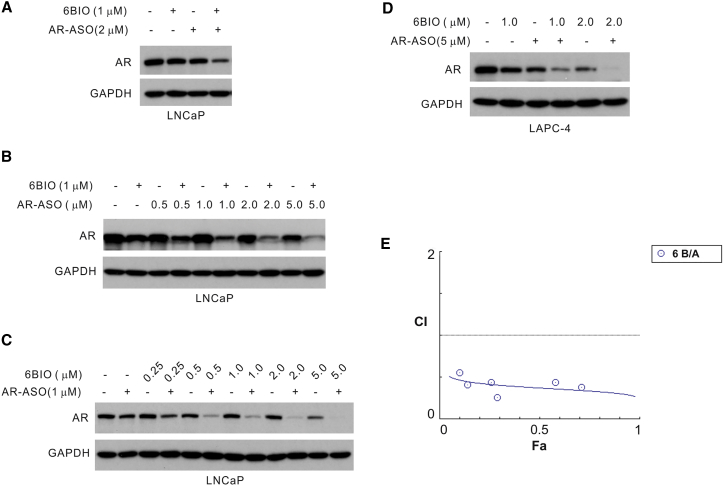 Figure 5