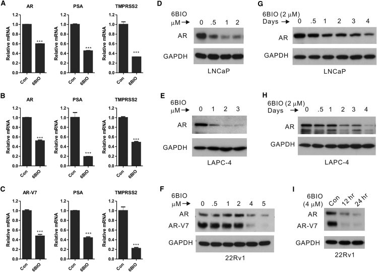 Figure 6