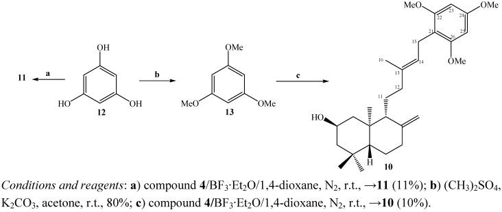 Scheme 2