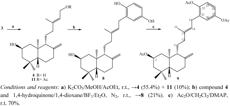 Scheme 1