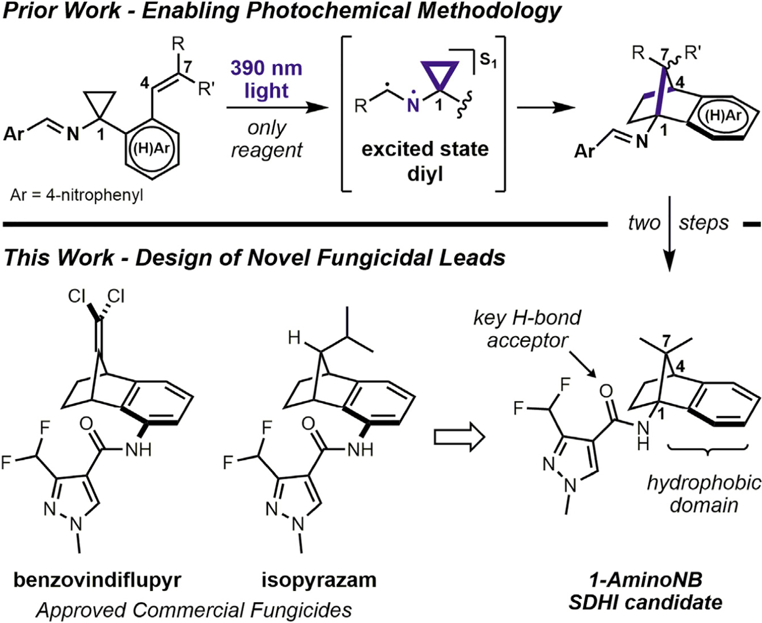 Figure 1.