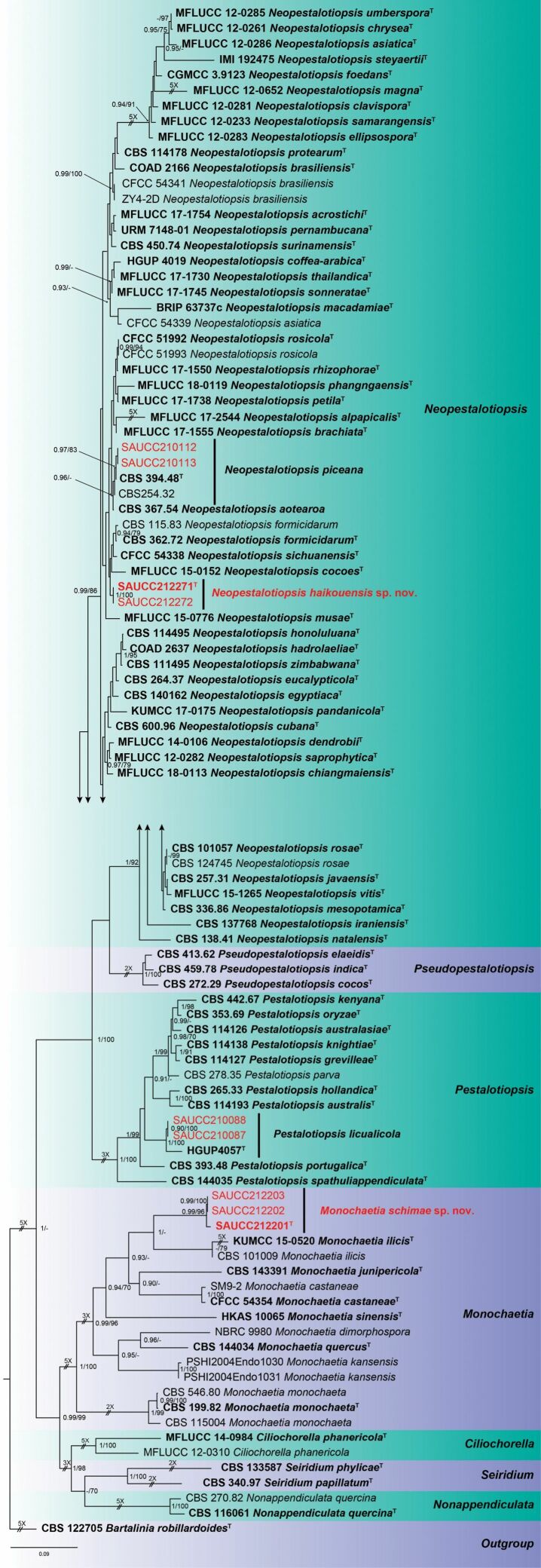 Figure 1.