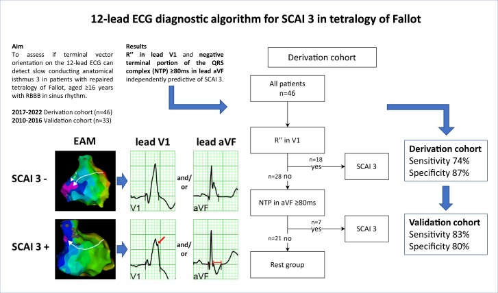 Graphical Abstract