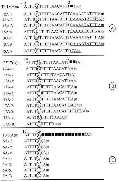 FIG. 6