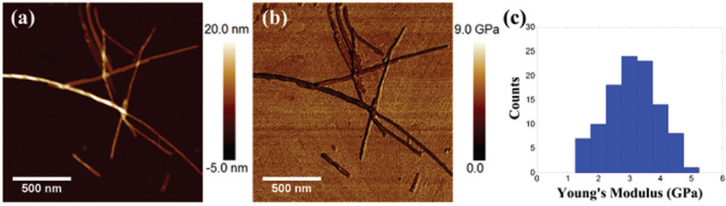 Fig. 9