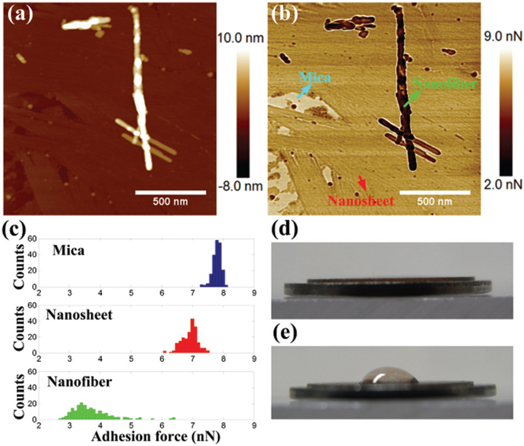 Fig. 10