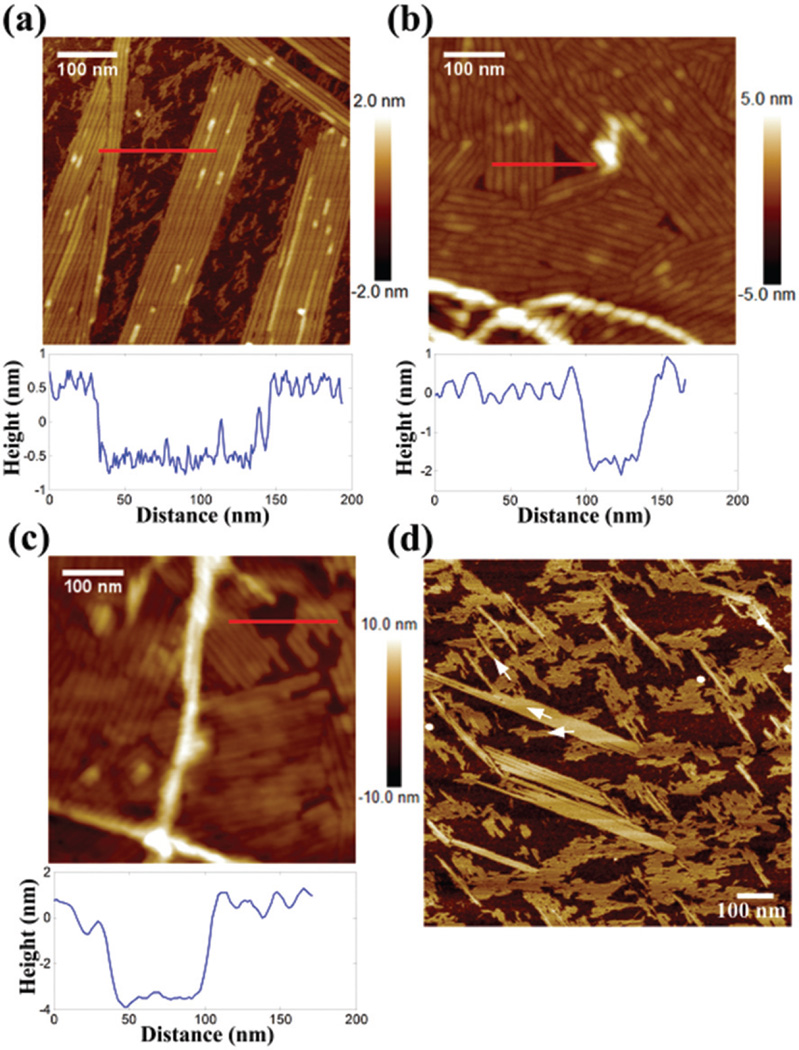 Fig. 2