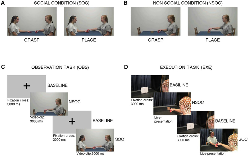 Figure 1: