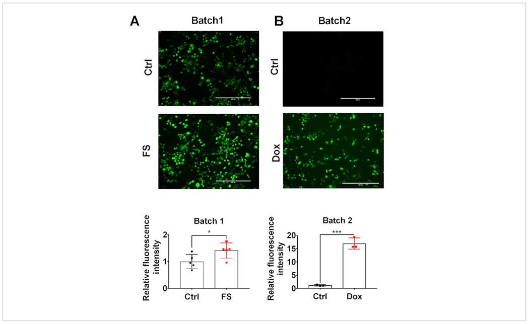 Figure 1: