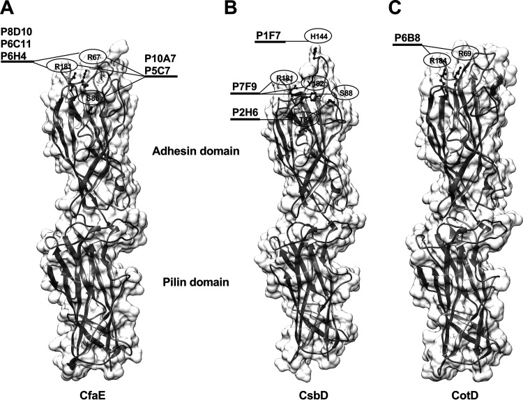 FIG 4