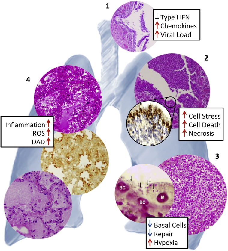 Figure 3