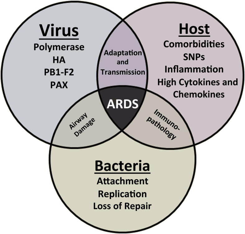 Figure 1