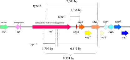 FIG. 2.