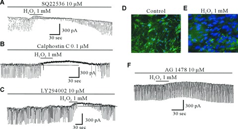 Fig 7