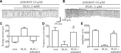 Fig 5