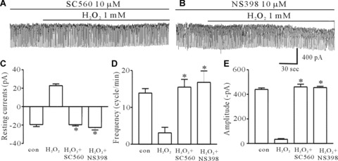 Fig 4