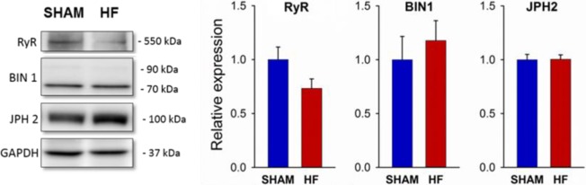 Figure 2—figure supplement 1.