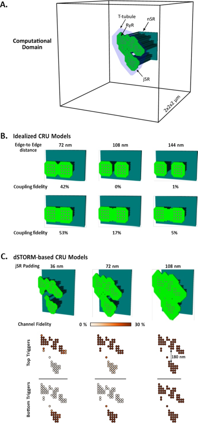 Figure 4—figure supplement 1.