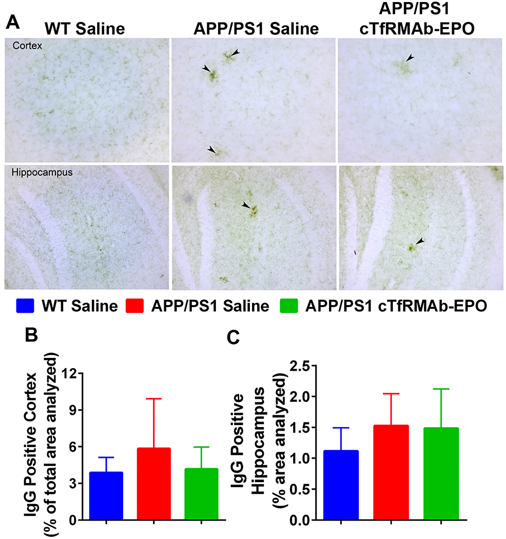 Figure 4: