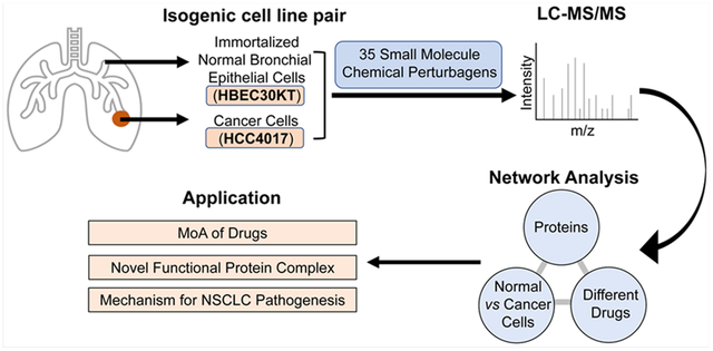 graphic file with name nihms-1593858-f0001.jpg