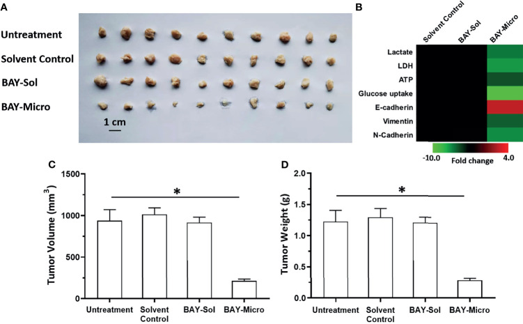 Figure 5