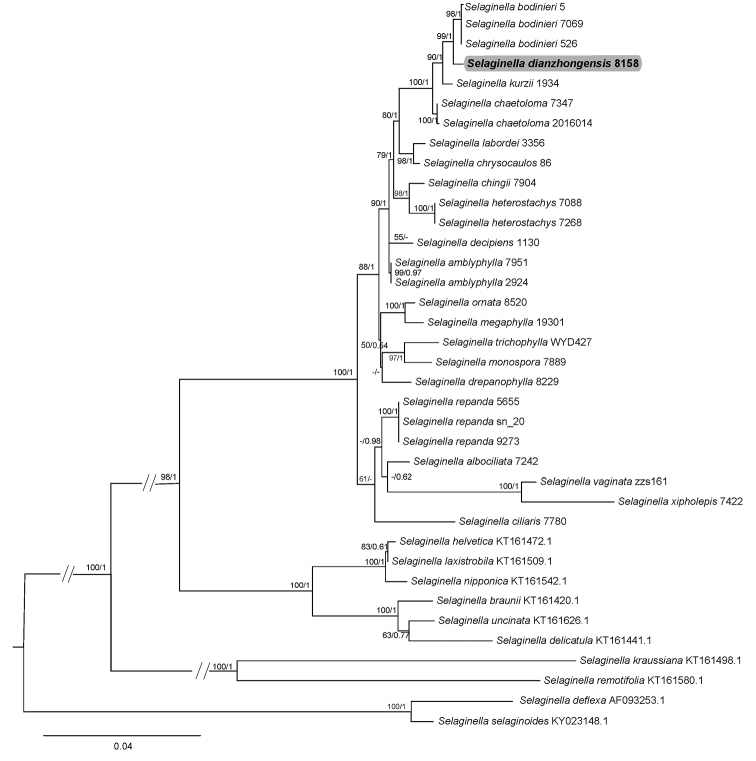 Figure 4.