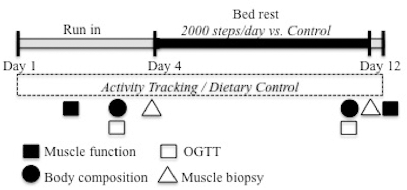 Figure. 1.