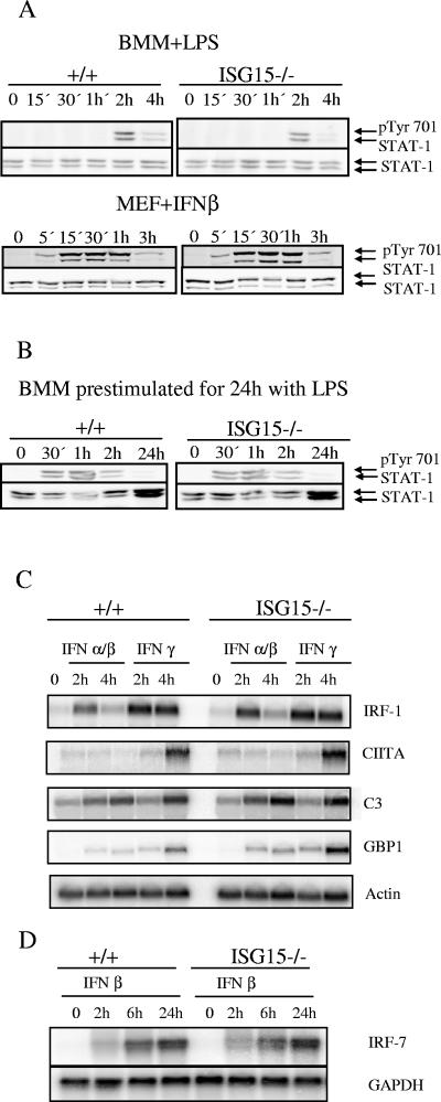 FIG. 5.