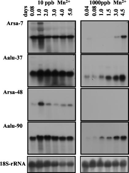 FIG. 8.