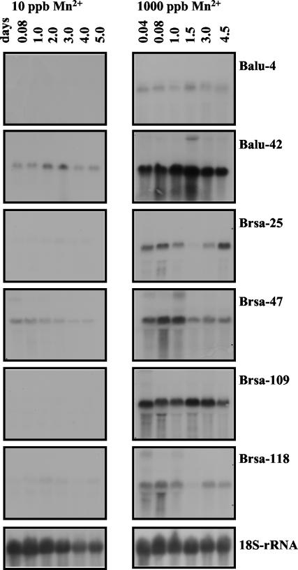 FIG. 7.