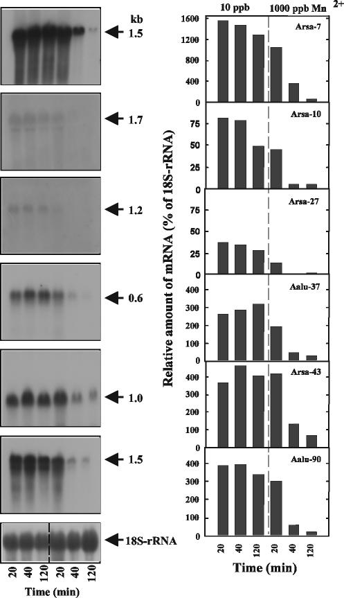 FIG. 6.