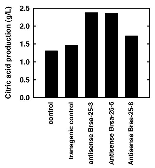 FIG. 11.