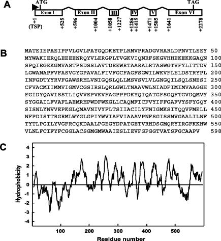 FIG. 9.