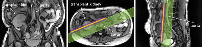 Fig. 8