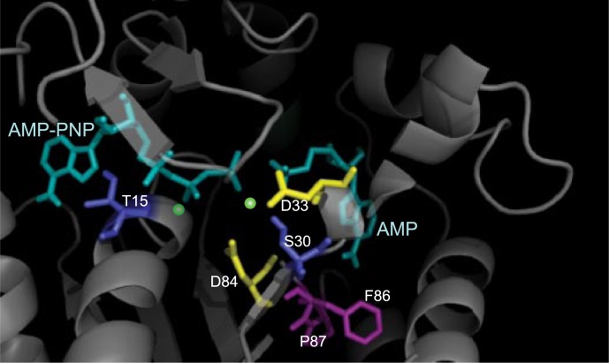 FIGURE 6.