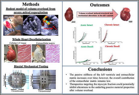 graphic file with name PHY2-10-e15305-g010.jpg
