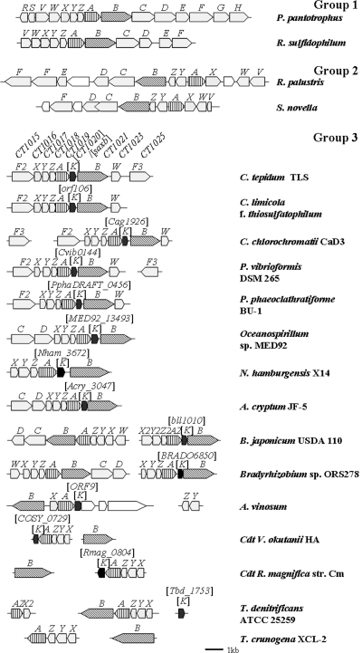 FIG. 6.