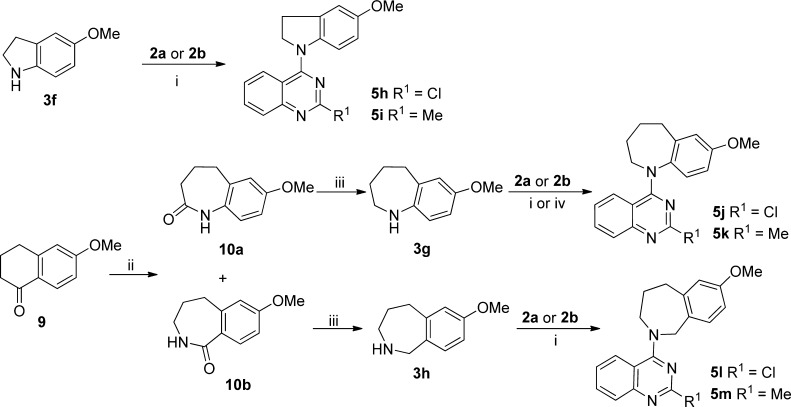 Scheme 3