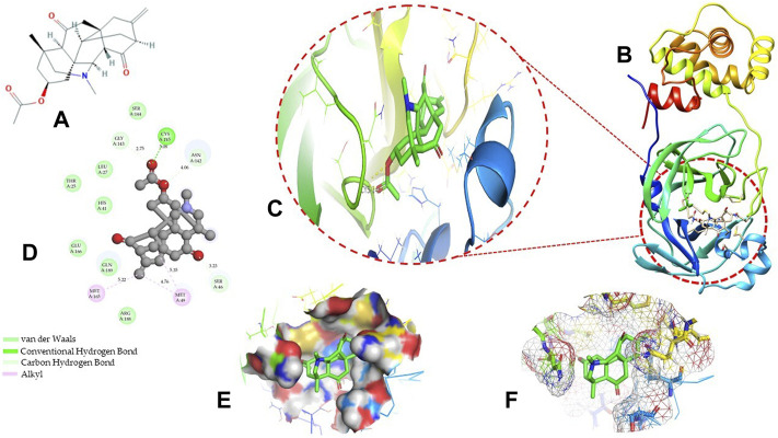 FIGURE 2