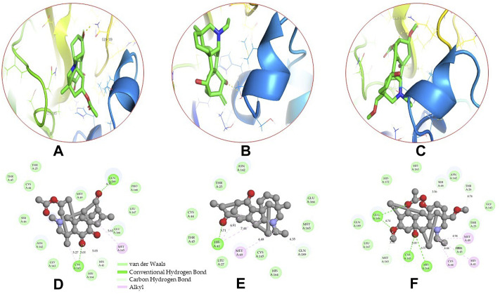 FIGURE 3