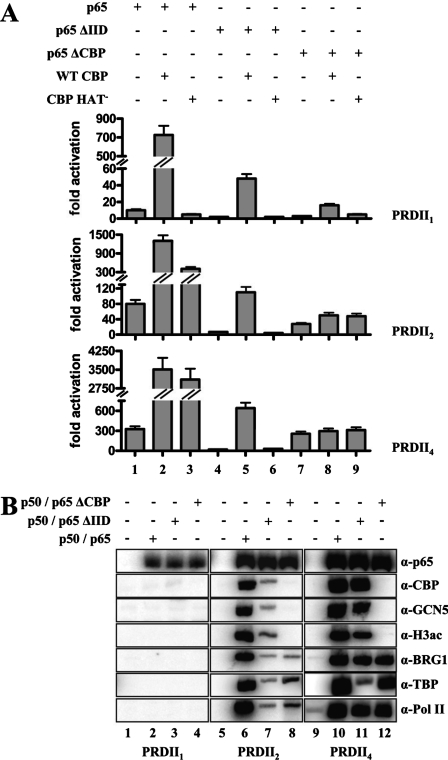 FIG. 9.