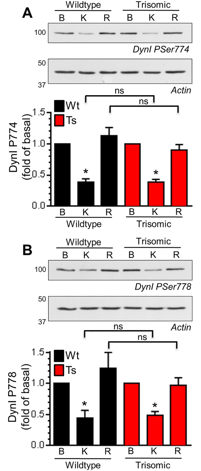 Fig 4